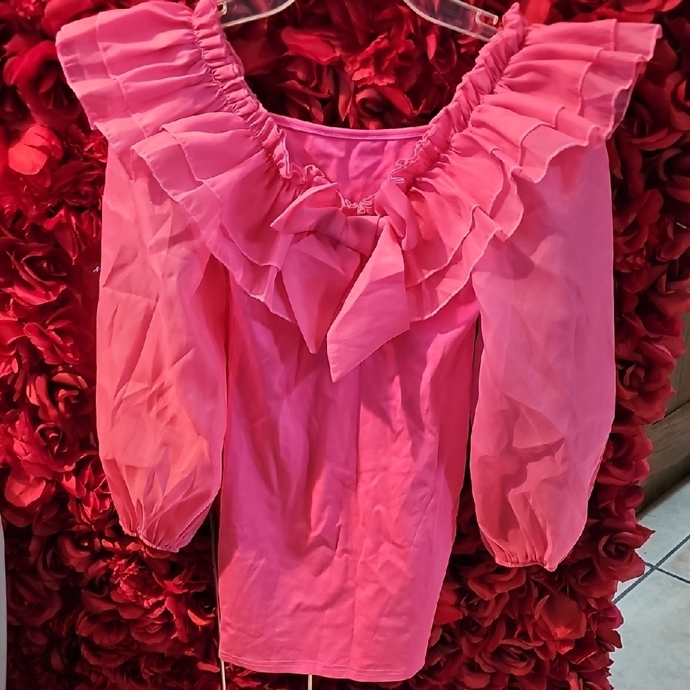 Girls NWT Pink Mesh Ruffled Dress with Sheer Sleeves Size 9 years